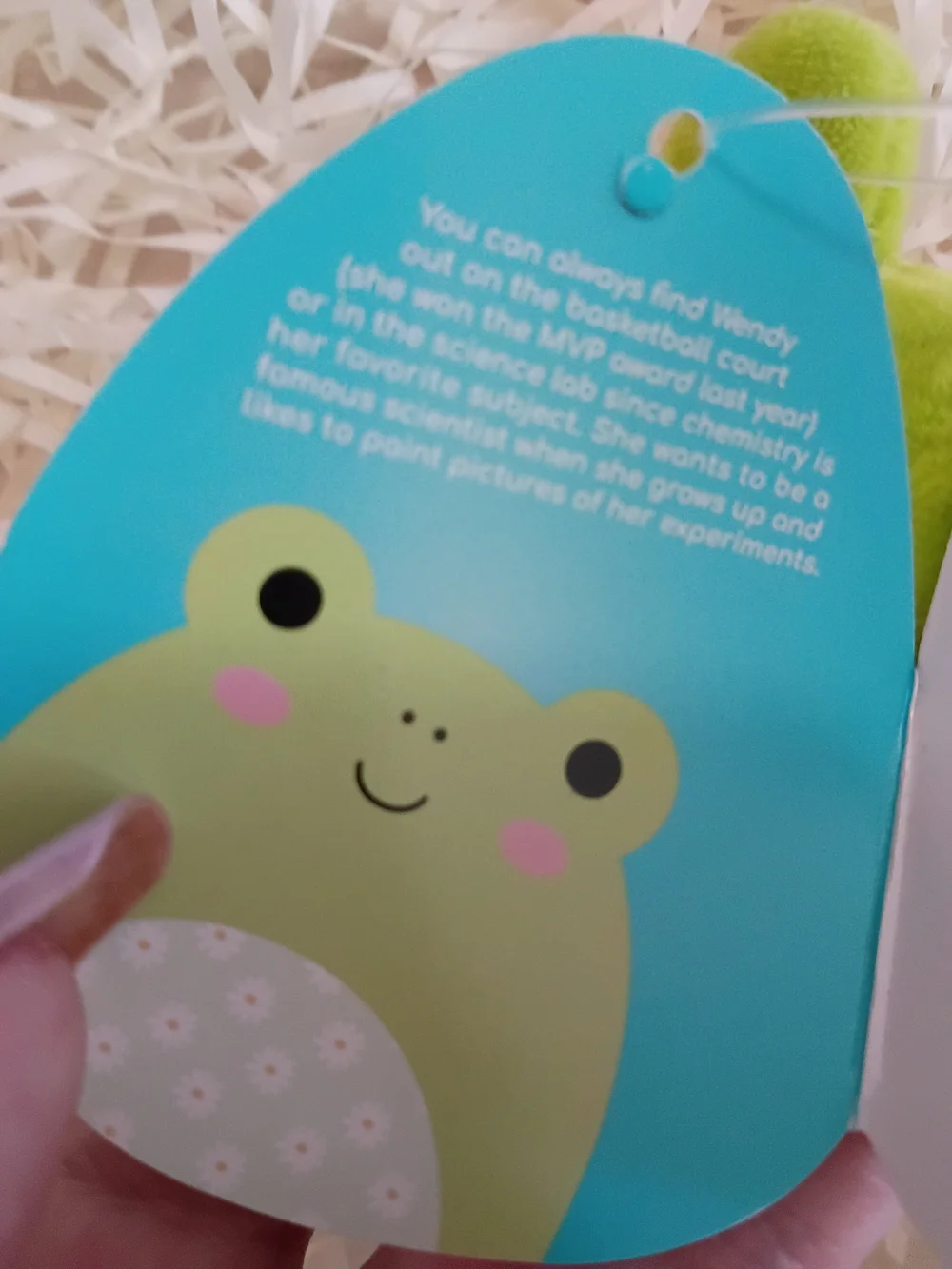 Squishmallows Nwt Wendy Green Frog Clip-On Plush Keychain